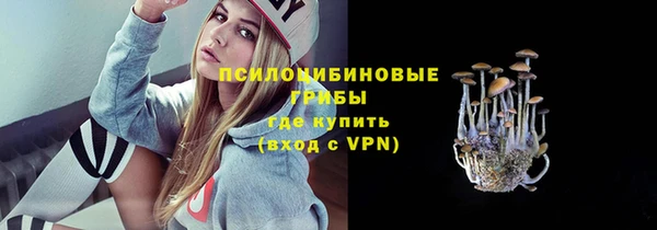 хмурый Балабаново