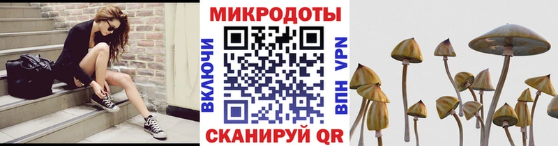 Галлюциногенные грибы прущие грибы  Купить  Светлогорск 